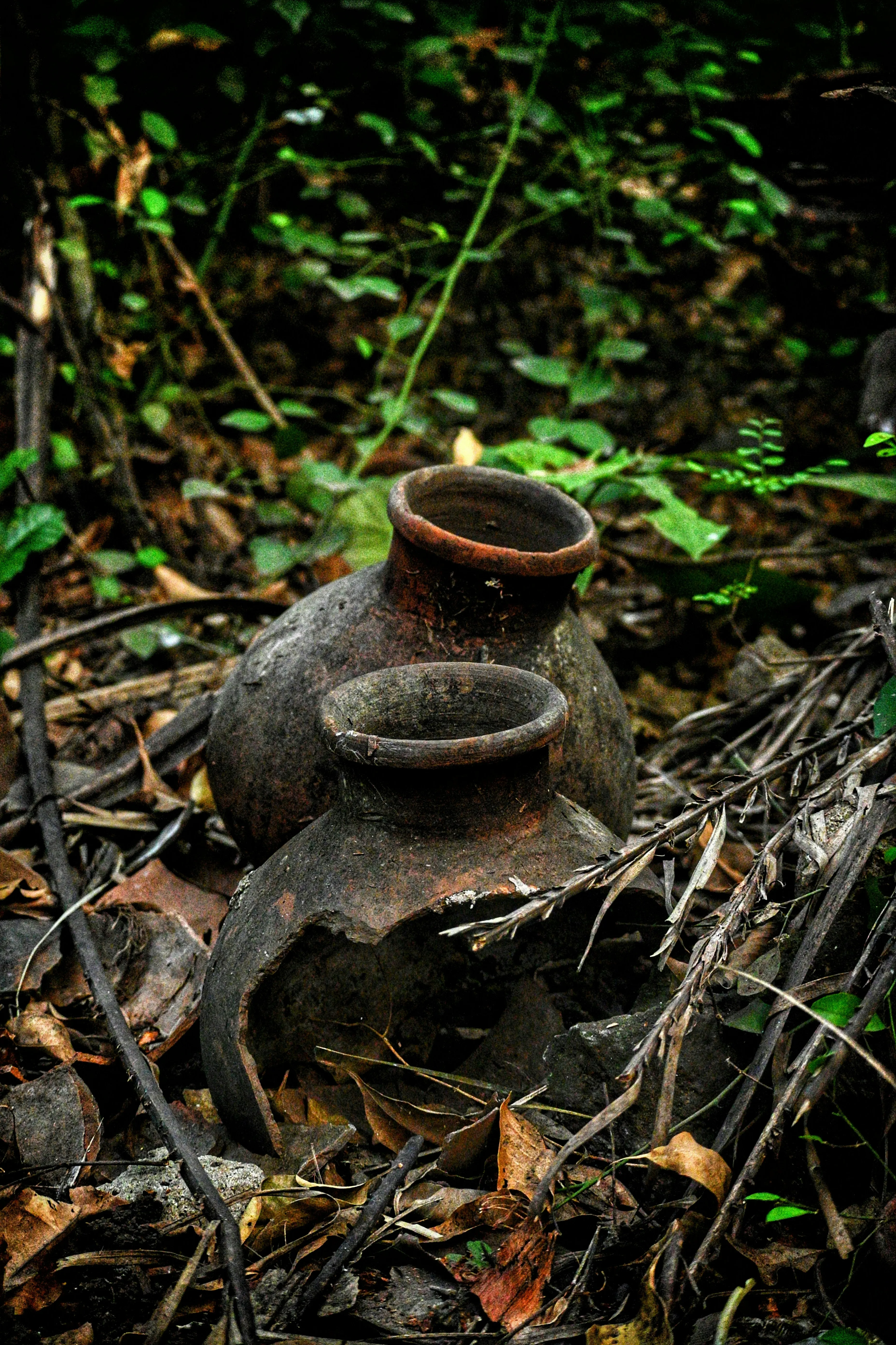 Two pottery jars