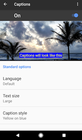 Android's caption-styling options: language, text size, caption style,
etc.
