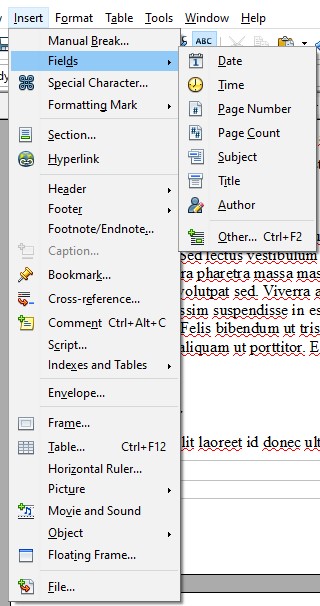 OpenOffice's Insert Page Number menu option.